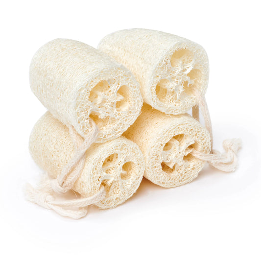 Natural Loofah Exfoliating Slices (Plastic Free, Unpackaged) Desesh