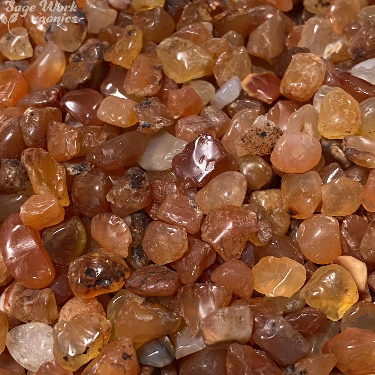 1oz Carnelian Chips Moon Mountain Gems